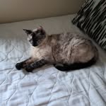 Cheryl Coulter - @cheryl.coulter.921 - Instagram