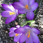 Cheryl Coulter - @cheryl.coulter.520 - Instagram