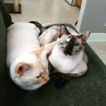 Cheryl Coulter - @coulter2116 - Instagram