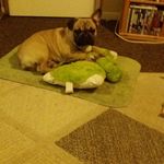 Cheryl Cousins - @cousins5720 - Instagram