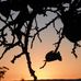 Cheryl Cousins - Facebook