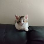 Cheryl Cousins - @cheryl.l.cousins67 - Instagram