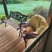 Cheryl Covington - Facebook
