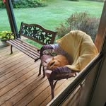 Cheryl Covington - @cheryl.2c - Instagram