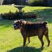 Cheryl Coy - Facebook