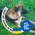 Cheryl Coy - Facebook
