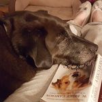 Cheryl Coy - @cherylcoy84 - Instagram