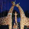 cherylcoyoca - @cherylcoyoca1 - TikTok
