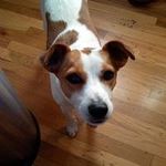 Cheryl Crabtree - @cherylcrabtreetravels - Instagram