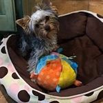 Cheryl Crabtree - @crabtree.cheryl - Instagram