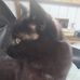 Cheryl Crampton - Facebook