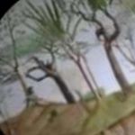 Cheryl Crenshaw Coronel - @teramon970 - Instagram