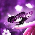 Cheryl Crider Seals - @cherylcriderseals - Instagram