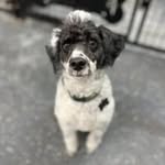 Cheryl Crider-Young - @cherylcrideryoung - Instagram