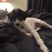 Cheryl Rena Crider-Young - Facebook