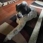 Cheryl Rena Crider-Young - @cheryl_rena_crider_young - Instagram