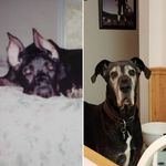 CherylRamboCrider - @rambo_crider - Instagram