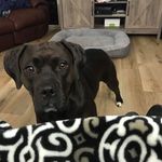 Cheryl Crimmins - @crimmins.cheryl - Instagram