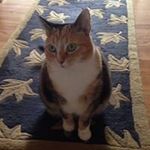 Cheryl Crist - @crist.cheryl - Instagram