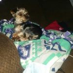 Cheryl Criswell - @criswell5080 - Instagram