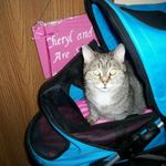 Cheryl Croft - @sarasmom1315 - Instagram