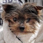 Cheryl Cromwell - @casino0926 - Instagram
