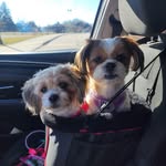 Cheryl Cronin - @ccwho2002 - Instagram