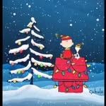 Cheryl Cronin Reinarman - @cherylr0923 - Instagram