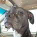 Ccheryl Marie Crook - Facebook