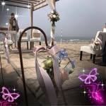 Cheryl Crook - @cherylcrook52 - Instagram