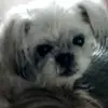 cherylcrook322 - @cherylcrook322 - TikTok