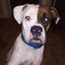 Cheryl Crouse - Facebook