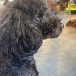 Cheryl Crouse - @cheryl_crouse1 - Instagram