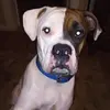 Cheryl Crouse - @cheryl.crouse7 - TikTok