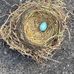 Cheryl Crouse - Facebook
