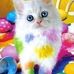 Cheryl Croydon - Facebook