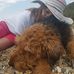 Cheryl Crum - Facebook