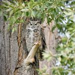Cheryl Crumm - @cherylcrummphoto - Instagram