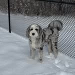 Cheryl Culver - @cacculver - Instagram