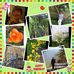Cheryl Daigle - Facebook