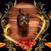 Cheryl Daigle - Facebook
