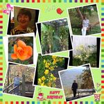 Cheryl Daigle - @daigle8693 - Instagram