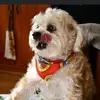 cheryldaigle361 - @cheryldaigle361 - TikTok