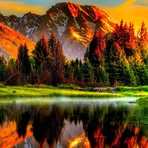 Cheryl Dalessandro - Facebook