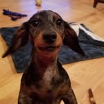 Cheryl D'Alessandro - @katzeyez35 - Instagram