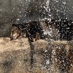Cheryl Danforth - @danforthcheryla - Instagram