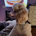 Cheryl Demory Danforth - Facebook