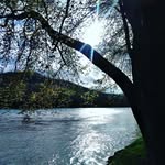 Cheryl Spielman Deal - @cherylspielmandeal - Instagram