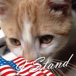 Cheryl Deeds - @mikindalife593 - Instagram