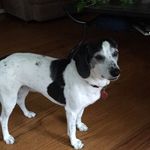 Cheryl Delong - @wasanegg - Instagram